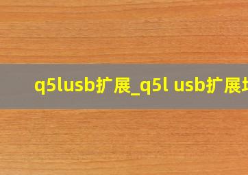 q5lusb扩展_q5l usb扩展坞